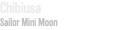 Chibiusa Sailor Mini Moon