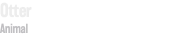 Otter Animal