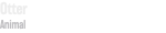Otter Animal